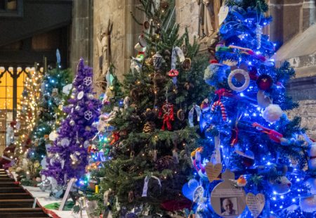 A row of Christmas trees decorated in different styles