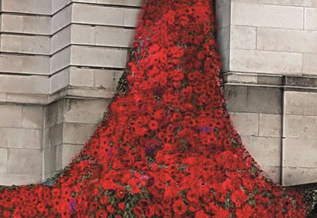 Chesterfield poppy cascade