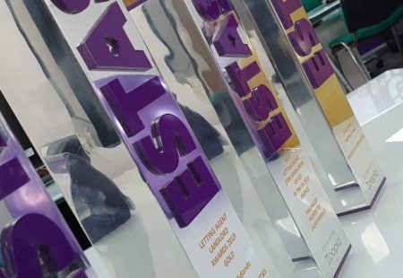 Pinewood Property Estates wins awards at The ESTAS