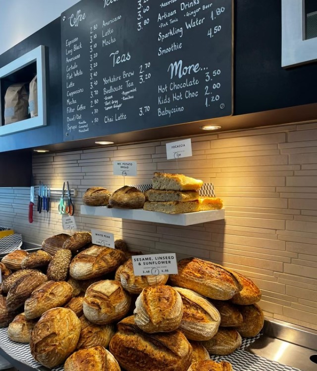 Selection of pastries on counter in bakery